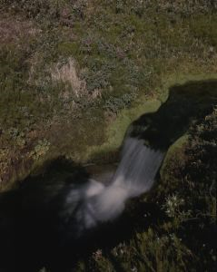 Image: Arctic meadow, brook, and waterfall