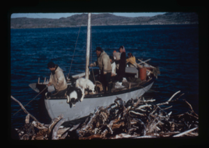 Image of Inuit family aboard small sail boat.Pile of driftwood in foreground