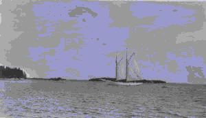Image of SACHEM sailing into Tenant's Harbor