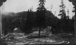 Image of Camp site before construction began