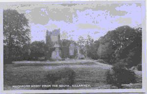 Image of Muckross Abbey from the south