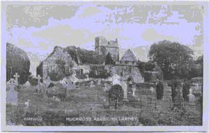 Image of Muckross Abbey  [and church yard]