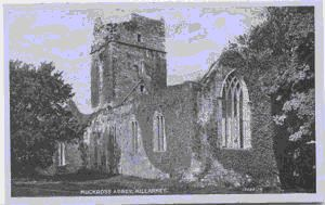 Image of Muckross Abbey
