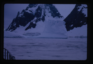 Image of Penguins on drift ice