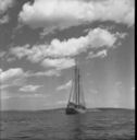 Image of The Bowdoin, Antill's Cove