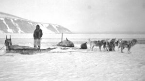 Thumbnail image of Marius E. Johnston Photographic Collection, 1910 Rainey-Whitney Expedition