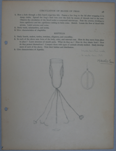 Image of Drawing: Needle case