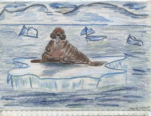 Image of [walrus on ice; notecard]