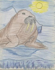 Image of [large walrus on ice; notecard]