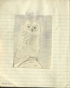 Image of okpik [snowy owl]