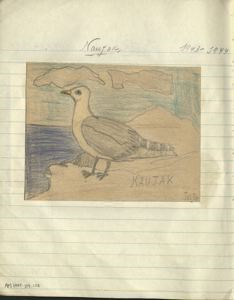 Image of naujak [gull]