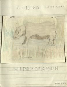 Image of hippopotamus