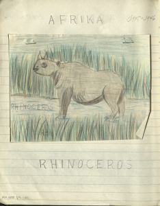 Image of rhinoceros