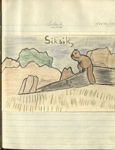 Image of siksik [squirrel]