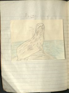Image of puise [seal]