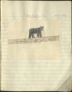 Image of aklak [black bear]