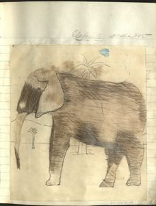Image of elefante [elephant]