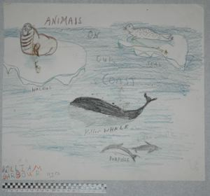 Image of Animals on Our Coast