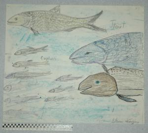 Image of [trout and capelin]
