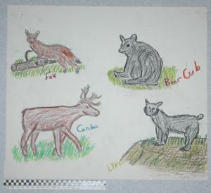 Image of Fox, Caribou, Bear Cub, and Lynx