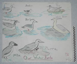 Image of Our Water Birds