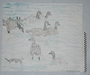 Image of [Canada geese]
