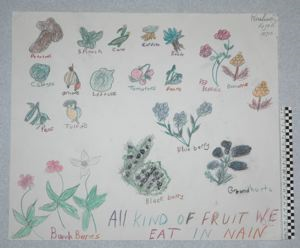 Image of All Kind of Fruit We Eat in Nain