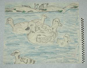 Image of [birds in water]