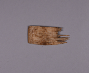 Image: Remnants of comb