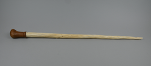 Image of Cane made from narwhal tusk