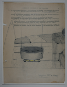 Image of Soapstone pot & lamp (drawing)