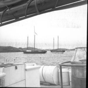 Image of Newfoundland fishing schooners, Emily Harbor
