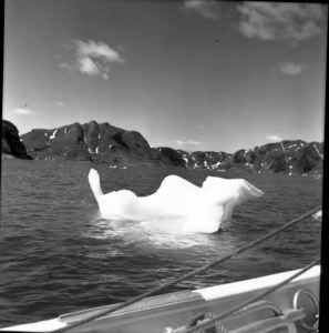 Image of Little icebergs