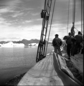 Image of Crew looking at icebergs, Umanak Fjord