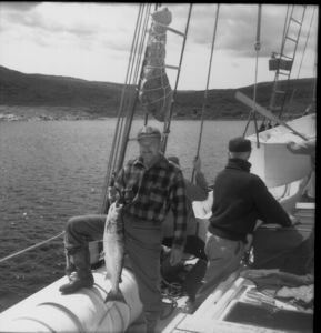 Image of Water party and cod fish (aboard. Donald MacMillan near)