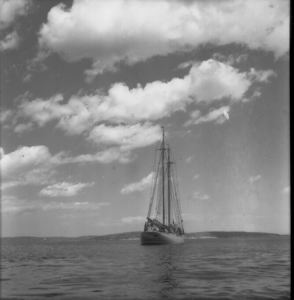 Image of The Bowdoin, Antill's Cove