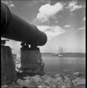 Image of Whale gun and the Bowdoin