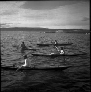 Image of Kayaks, Thule
