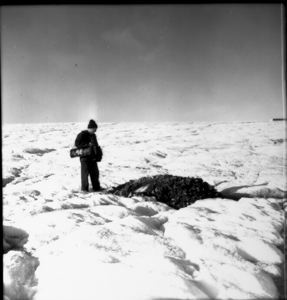 Image: Rutherford Platt looking at gravel mound, Fitz Cla