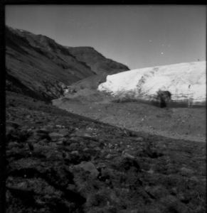 Image: Ice cap, ice face, and moraine, Twin Glacier