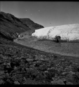 Image: Ice face and moraine, Twin Glacier