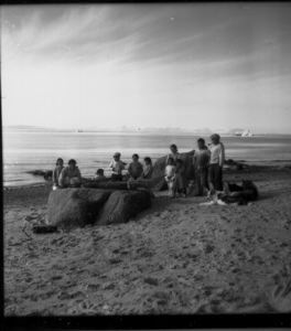 Image of Eskies [Inuit] on beach, Savigsivik