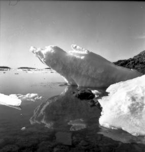 Image of Etah Fjord, ice on rocks, Etah