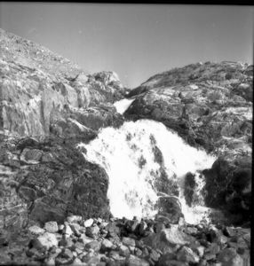 Image: Waterfall habitat: sax. oppos., cerastium alp., papaver, Lychnis