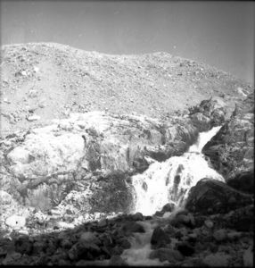 Image of Waterfall habitat: sax. alopemus, sax. Nivalro