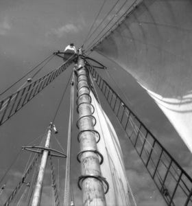 Image of Mast and sail pattern, Refuge Harbor