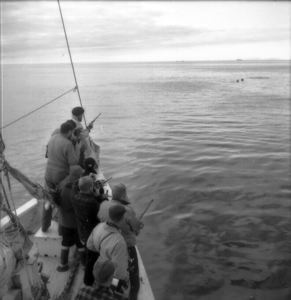 Image of Kah-da, Too-cock go Walrus hunting [Crew in bow with rifles]