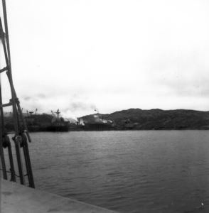 Image: Whaling station, Hawk Harbor