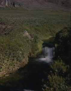 Image: Arctic meadow, brook and waterfall.
