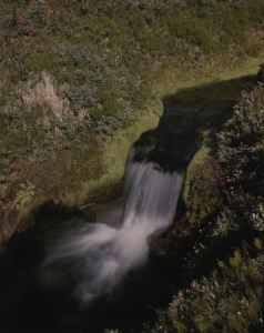 Image of Arctic meadow, brook and waterfall.